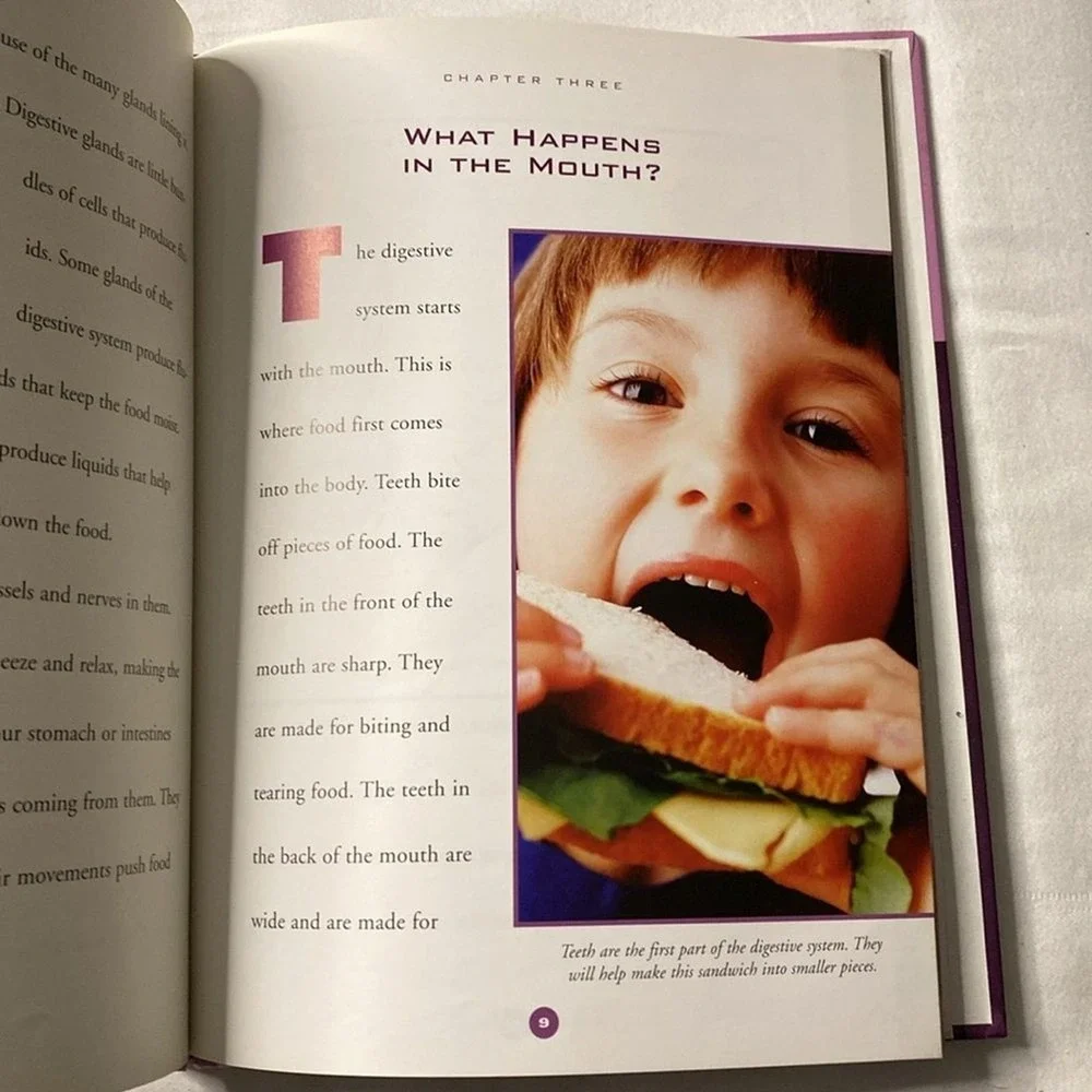 The Digestive System Human Body‎ by Susan Gray Core Learning Library Book Kids